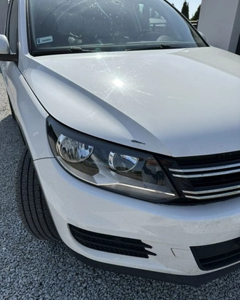 Volkswagen Tiguan cena 39900 przebieg: 232000, rok produkcji 2013 z Jędrzejów małe 56